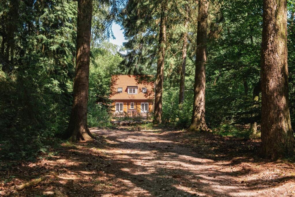 Fantastisch Familiehuis Met Grote Tuin I Bosrijk Lunteren Exterior foto