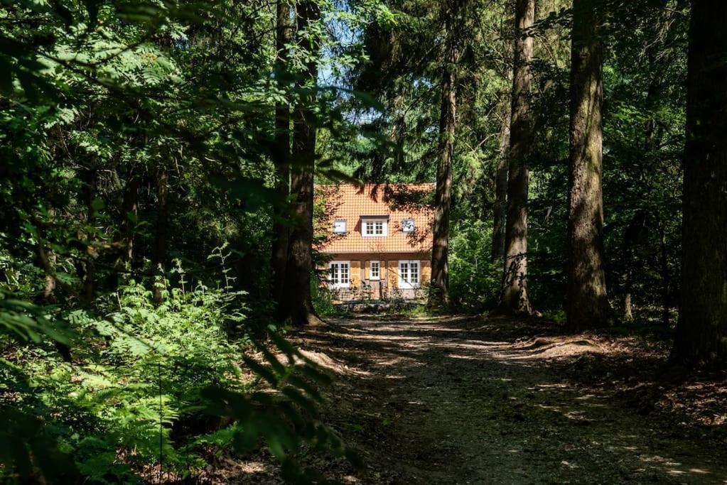 Fantastisch Familiehuis Met Grote Tuin I Bosrijk Lunteren Exterior foto